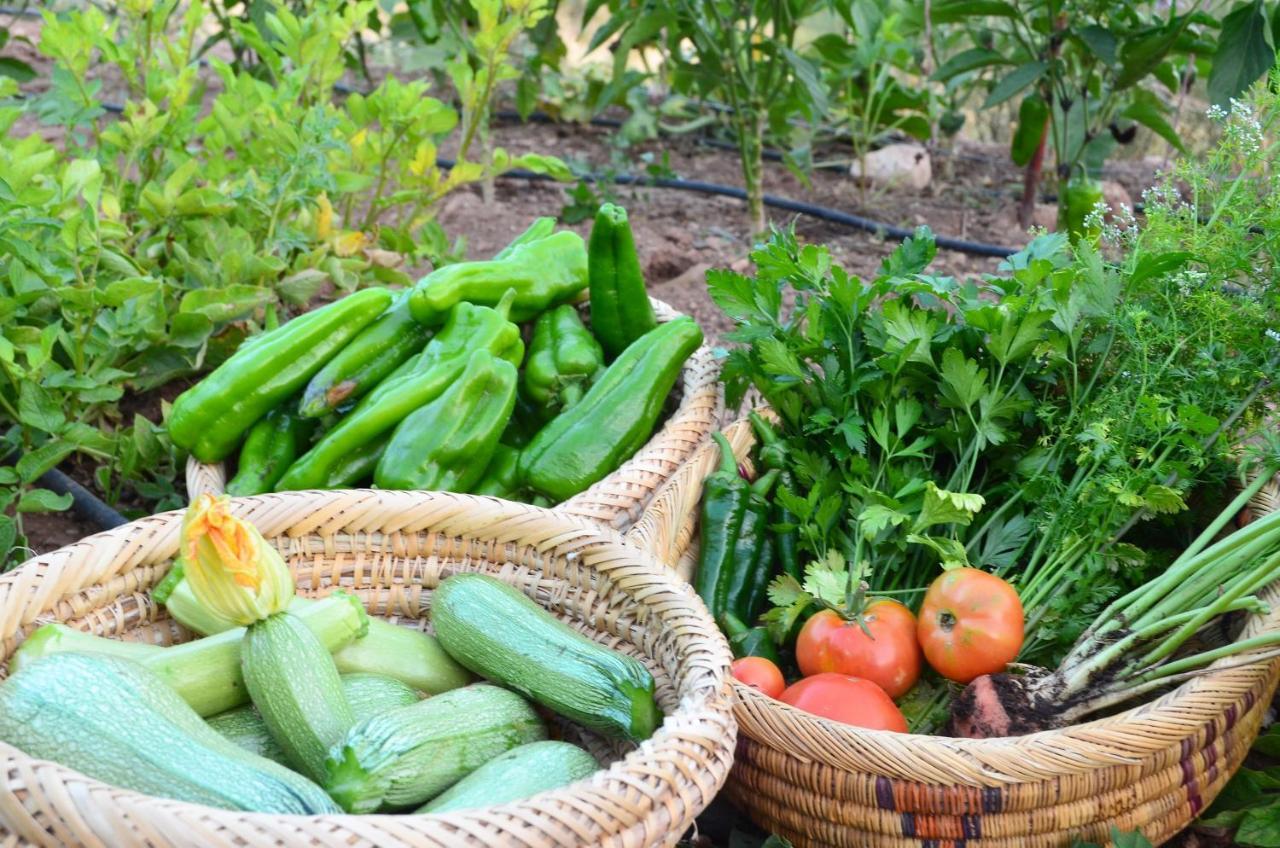 Le Douar Berbere (Adults Only) Βίλα Ourika Εξωτερικό φωτογραφία
