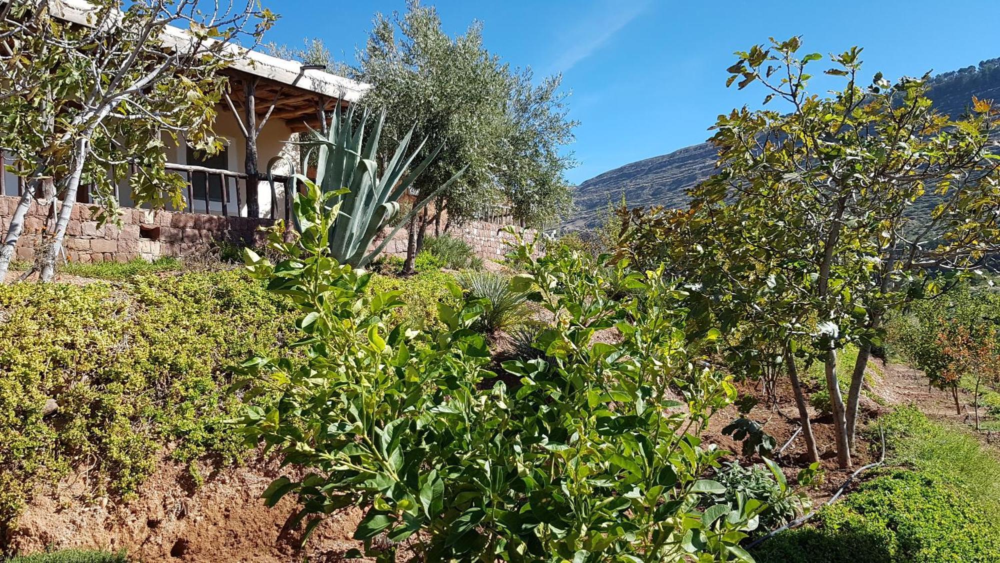 Le Douar Berbere (Adults Only) Βίλα Ourika Εξωτερικό φωτογραφία
